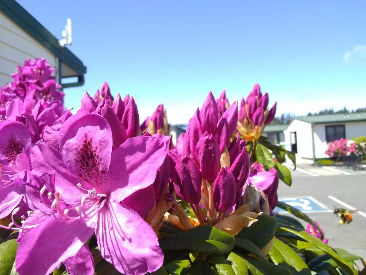 The Orca Inn Friday Harbor Exteriér fotografie